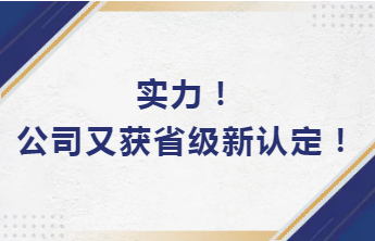 實(shí)力！公司又獲省級新認(rèn)定